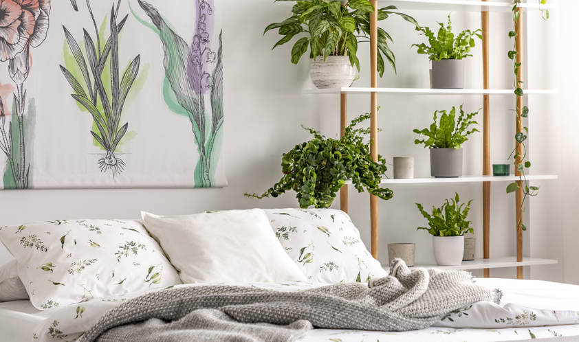 Urban jungle: como aplicar esse estilo de decoração