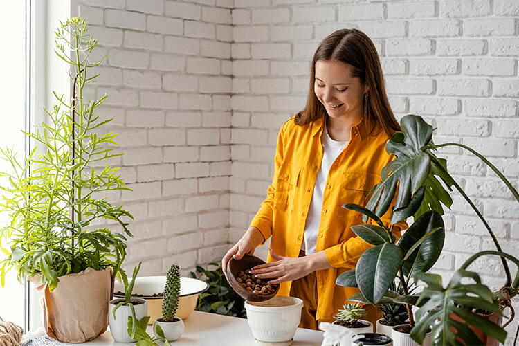 Cuidado com os vasos de plantas