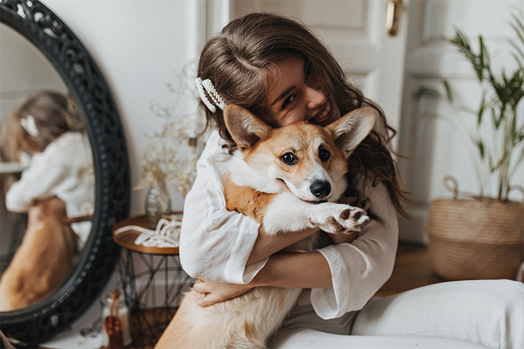 Dica de decoração para trazer mais conforto e segurança aos pets