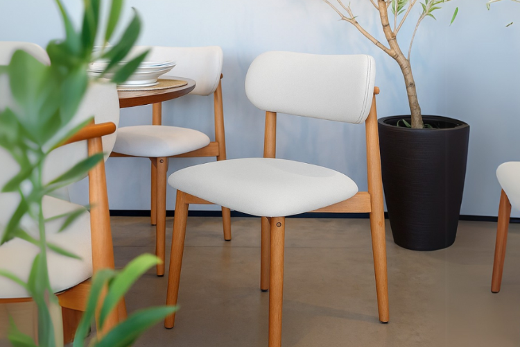 Apresentando: Cadeira Lunna, elegância e conforto em um!